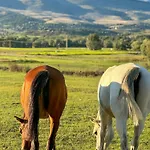 El Raco De Montana Park *