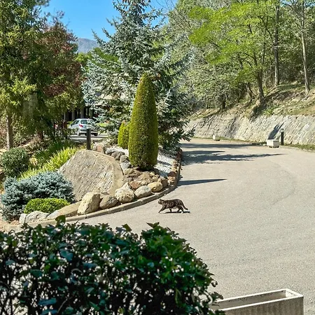 El Raco De Montana Park Apartment