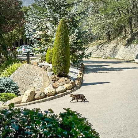 El Raco De Montana Park 아파트 Enveitg